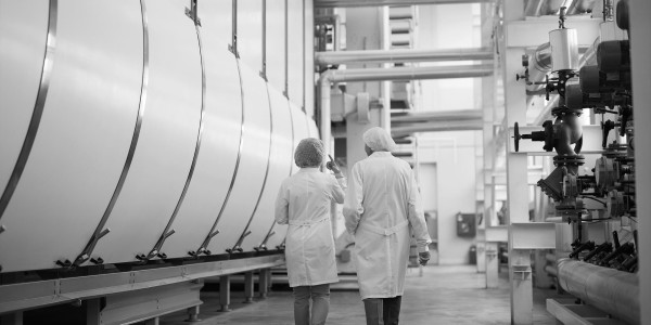 Peritajes Industriales Lavapiés · Informes Periciales de Ingeniería